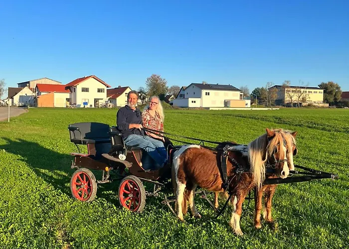 Сasa de vacaciones Tinyhouse Auf Der Fischer-ranch Westerheim (Unterallgau)