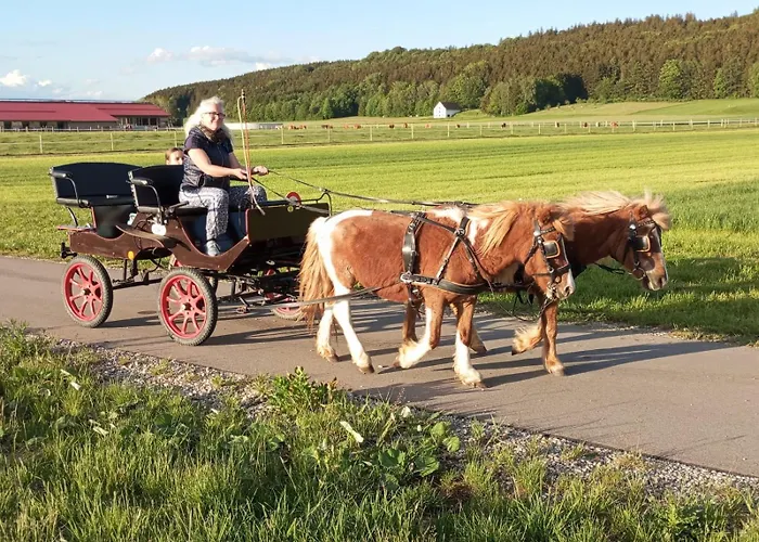 Сasa de vacaciones Tinyhouse Auf Der Fischer-ranch